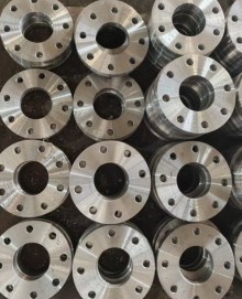 Hastelloy Flange
